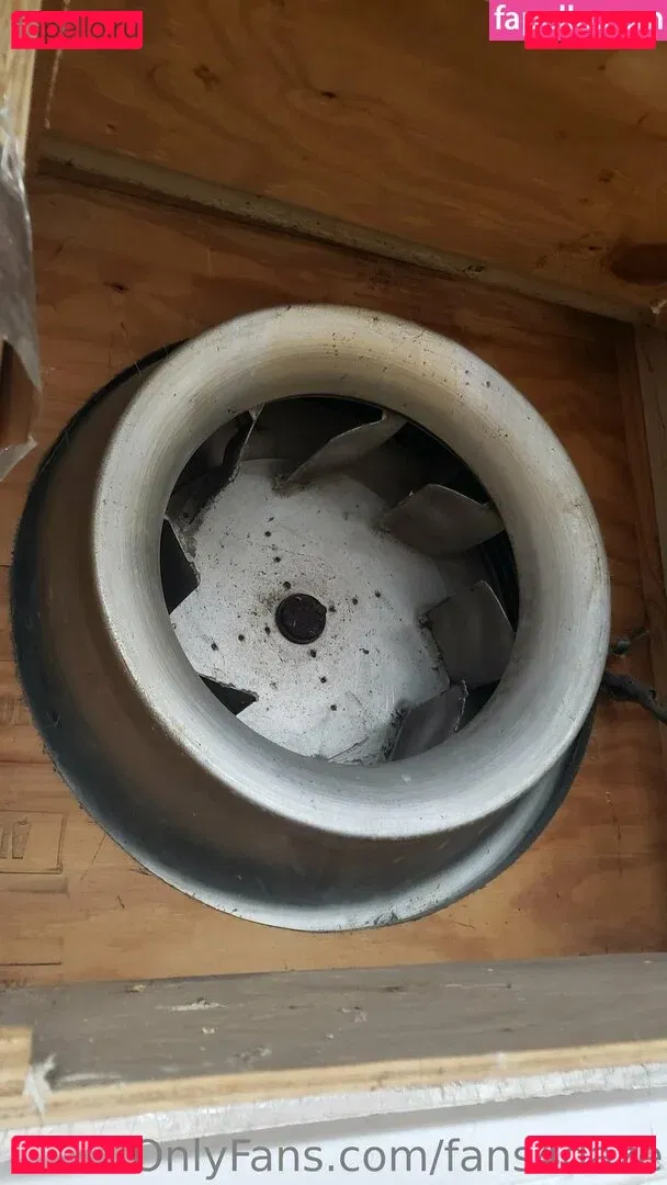 fans4daze Onlyfans Photo Gallery 