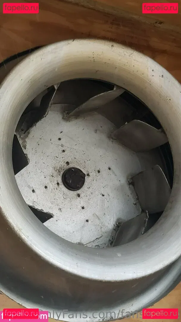 fans4daze Onlyfans Photo Gallery 