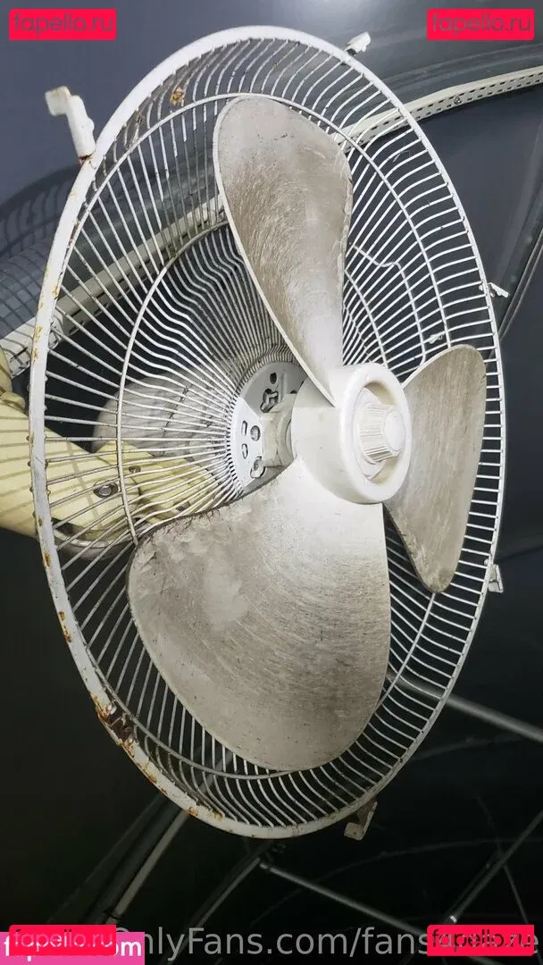 fans4daze Onlyfans Photo Gallery 