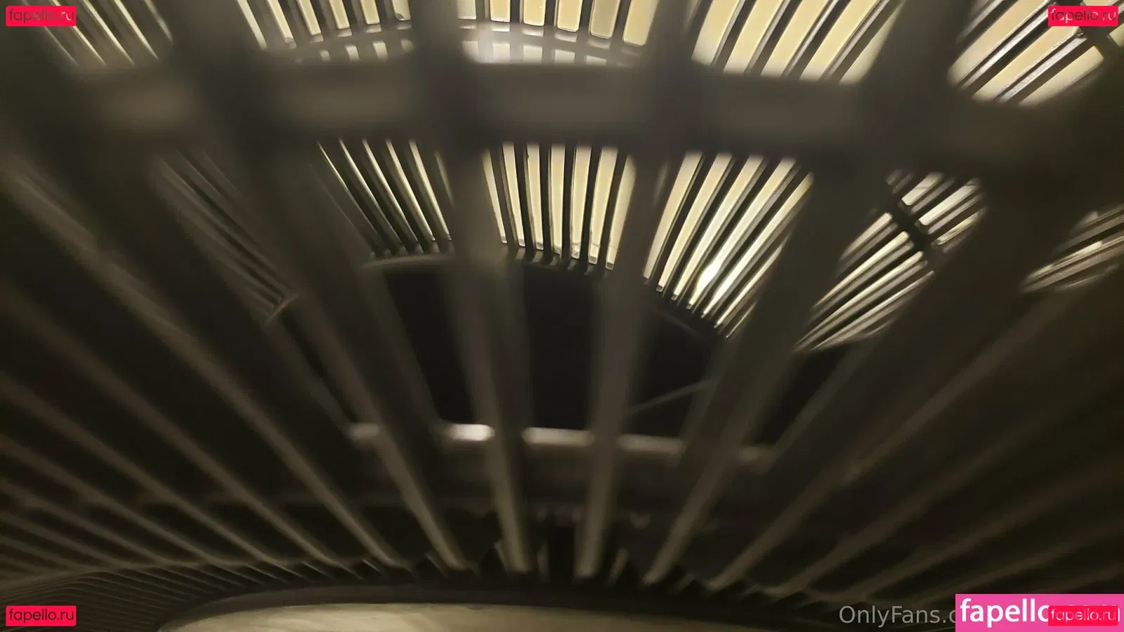 fans4daze Onlyfans Photo Gallery 