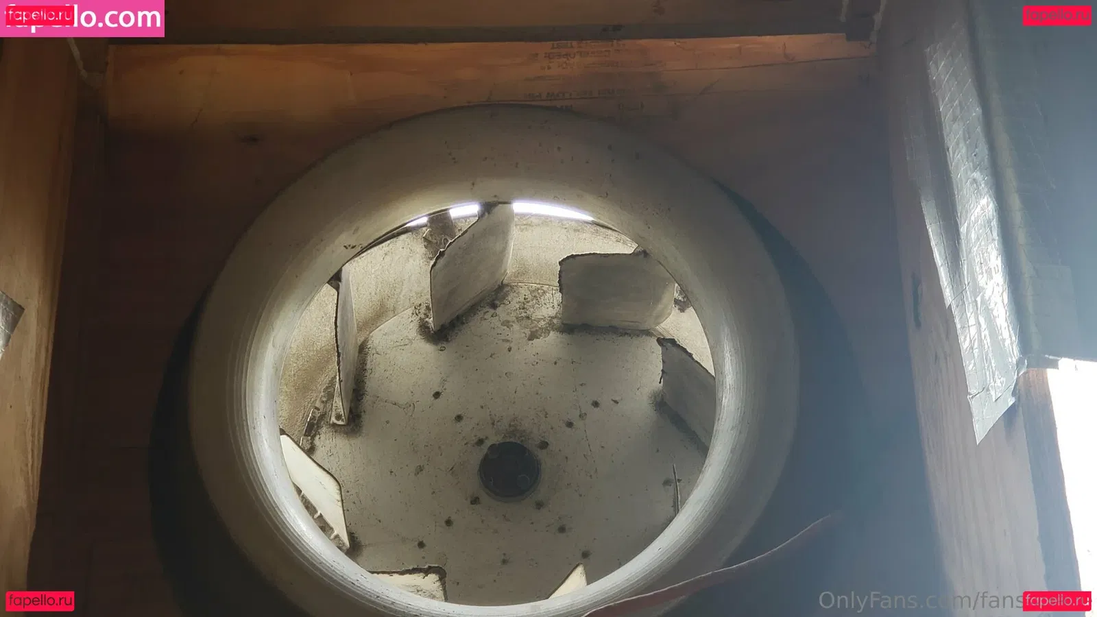 fans4daze Onlyfans Photo Gallery 