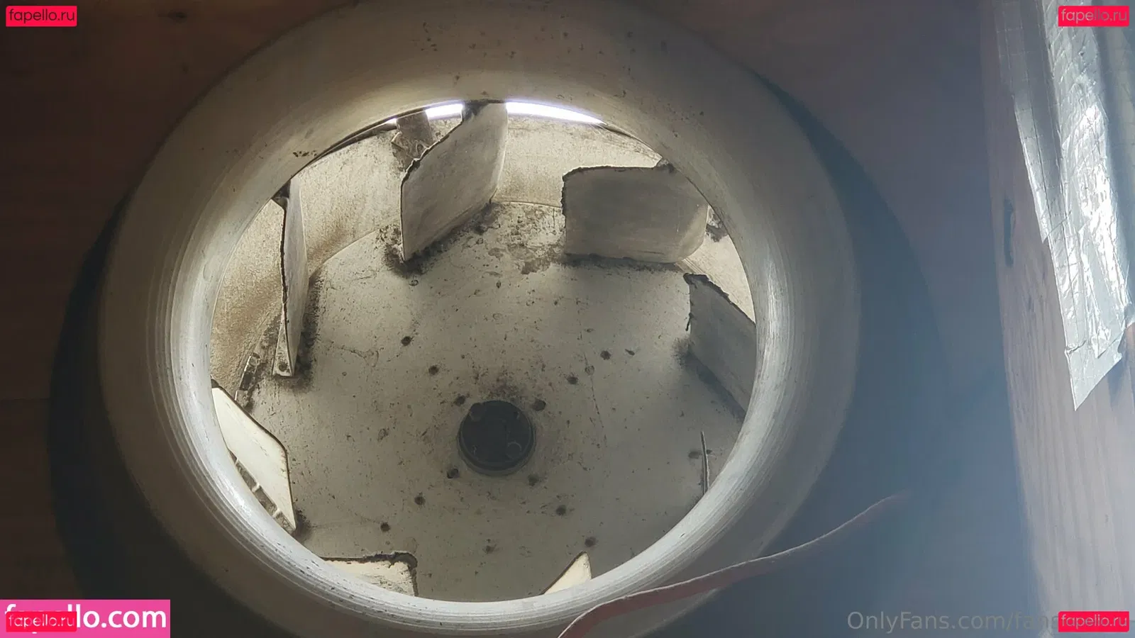 fans4daze Onlyfans Photo Gallery 