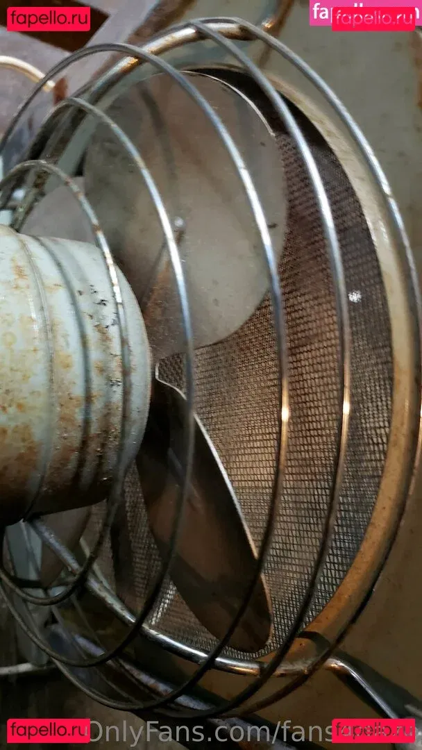 fans4daze Onlyfans Photo Gallery 