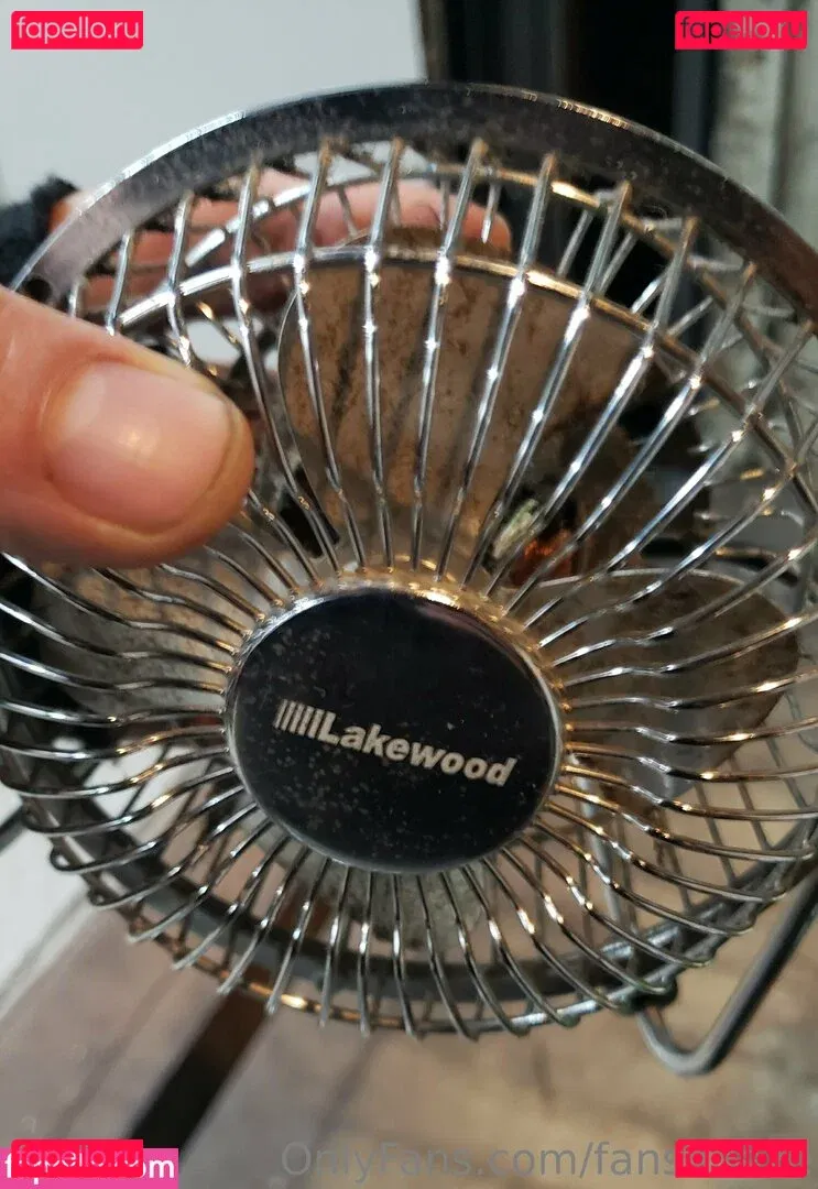 fans4daze Onlyfans Photo Gallery 