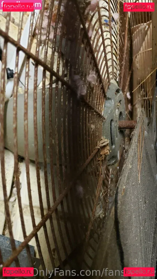 fans4daze Onlyfans Photo Gallery 