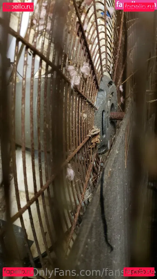 fans4daze Onlyfans Photo Gallery 