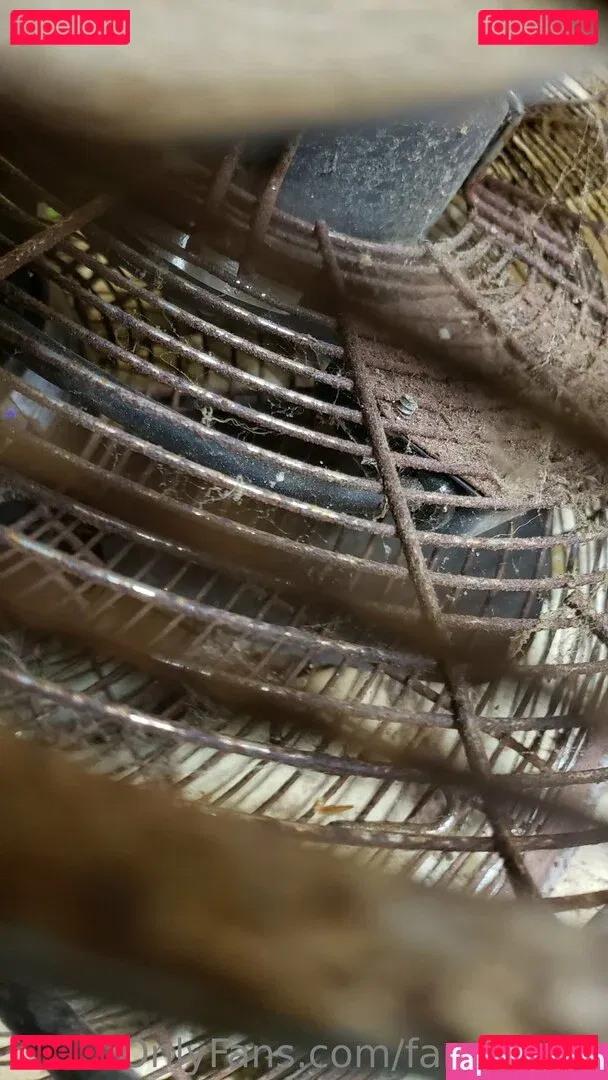 fans4daze Onlyfans Photo Gallery 