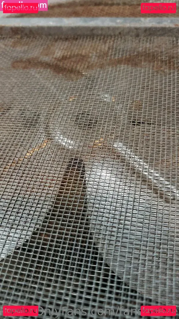 fans4daze Onlyfans Photo Gallery 