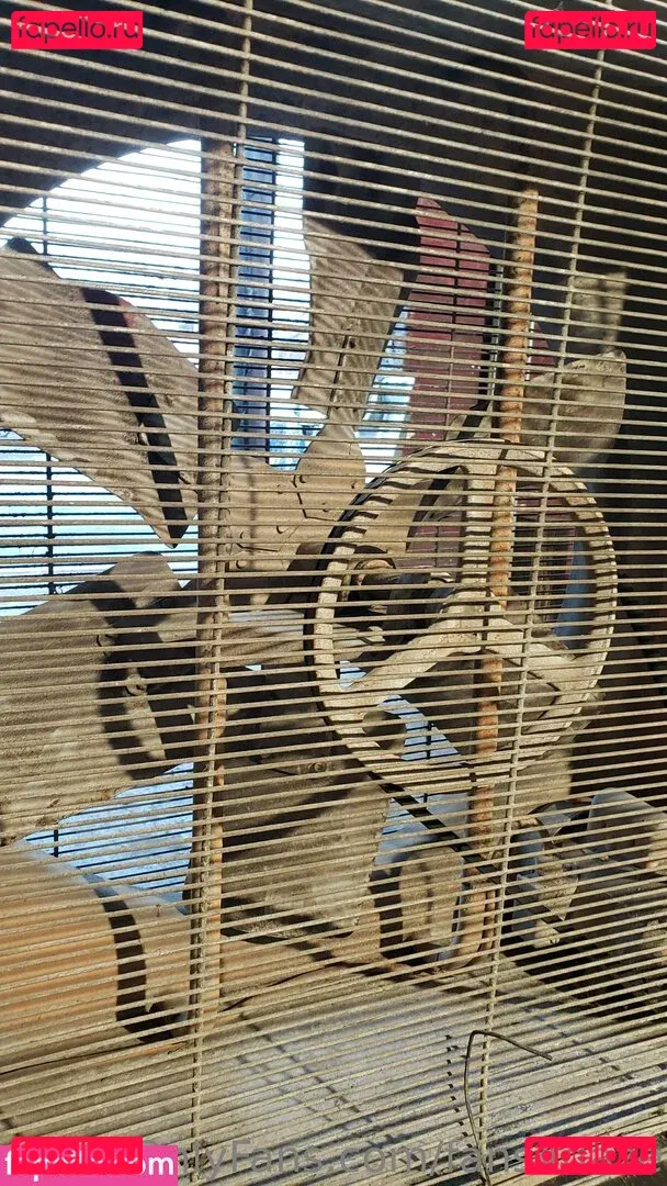 fans4daze Onlyfans Photo Gallery 