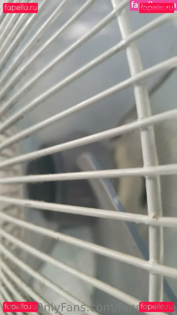 fans4daze Onlyfans Photo Gallery 