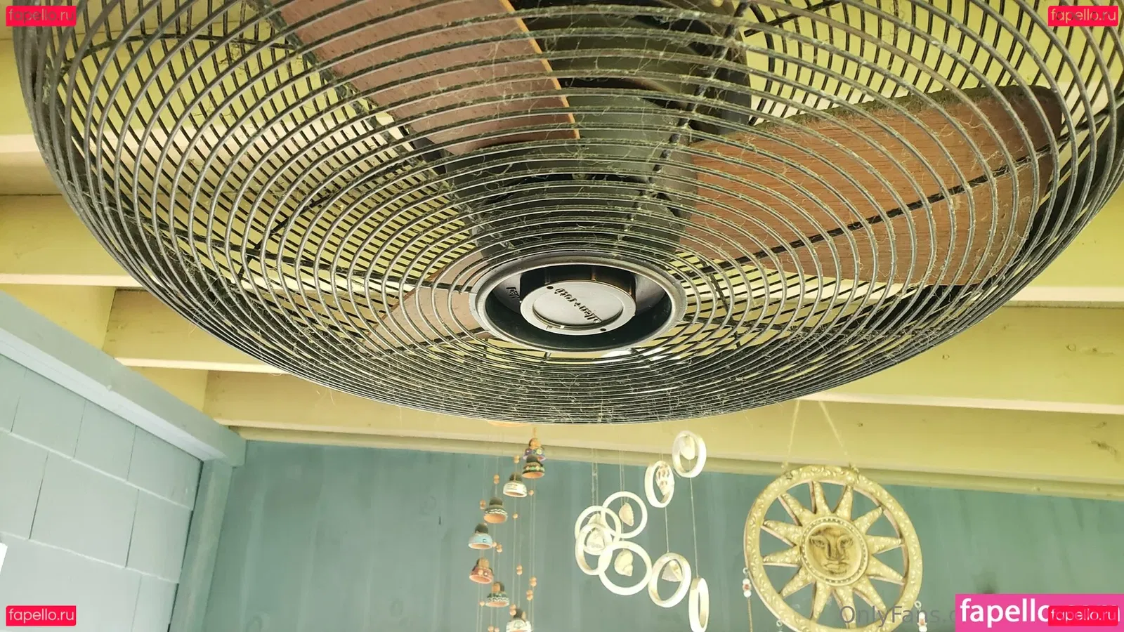 fans4daze Onlyfans Photo Gallery 