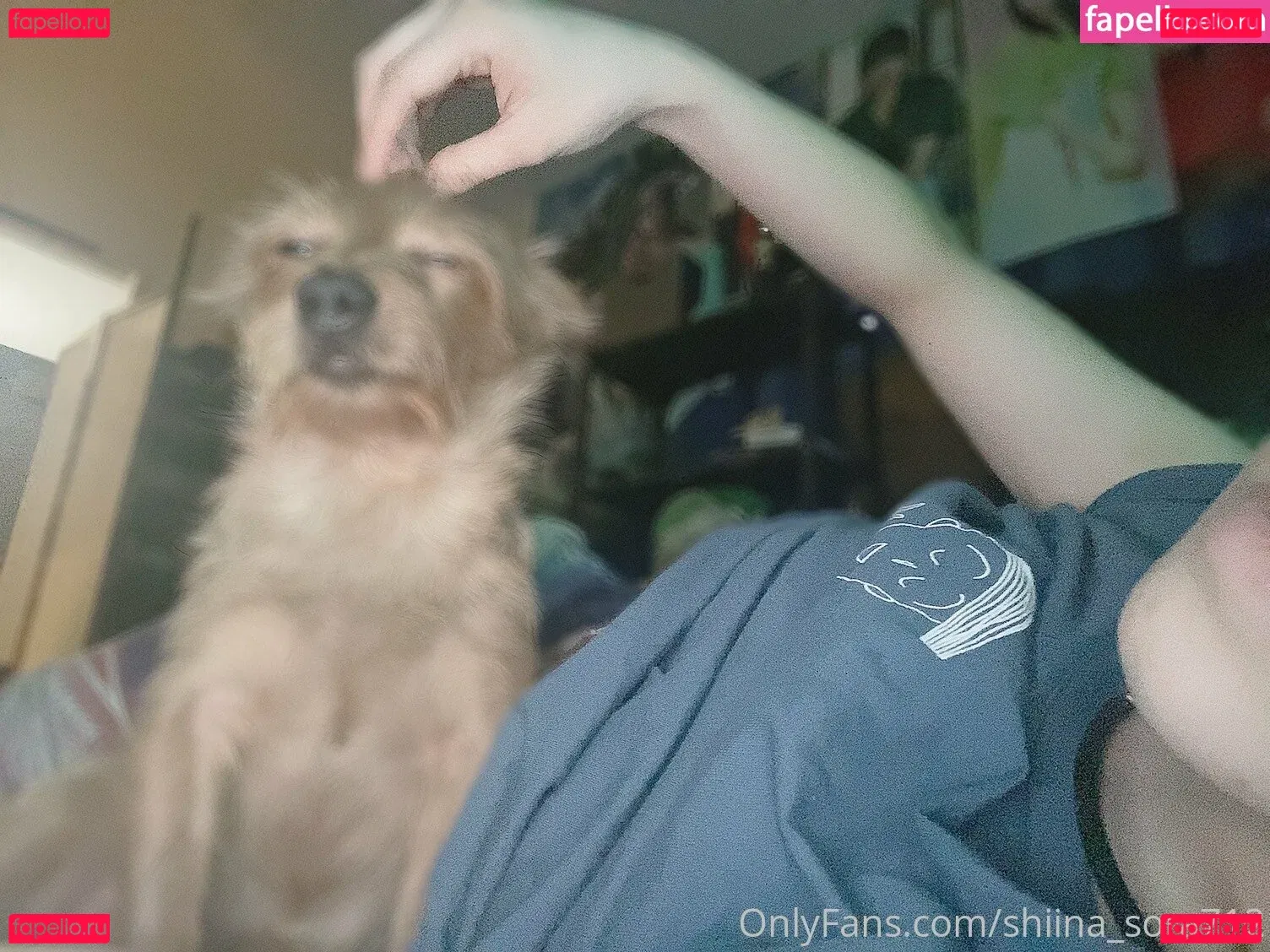 Sora Shiina Onlyfans Photo Gallery 