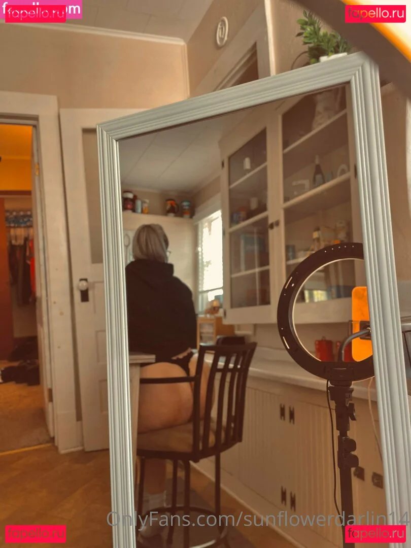 sunflowerdarlin14 Onlyfans Photo Gallery 