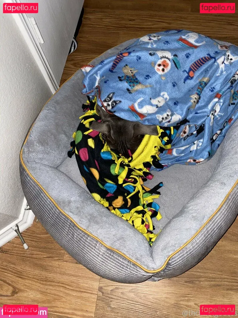 thckslutgoddess Onlyfans Photo Gallery 