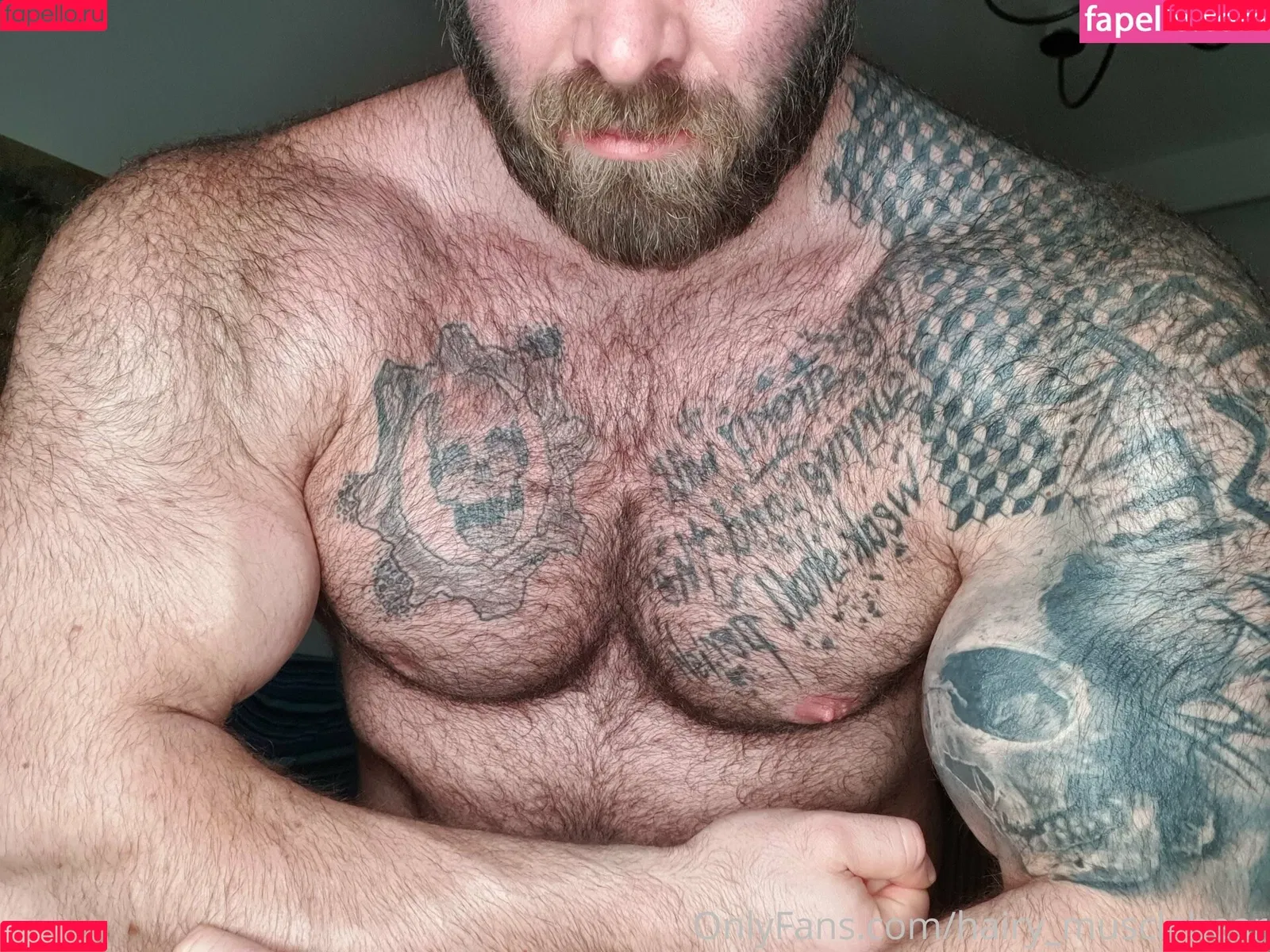 hairy_musclebear Onlyfans Photo Gallery 