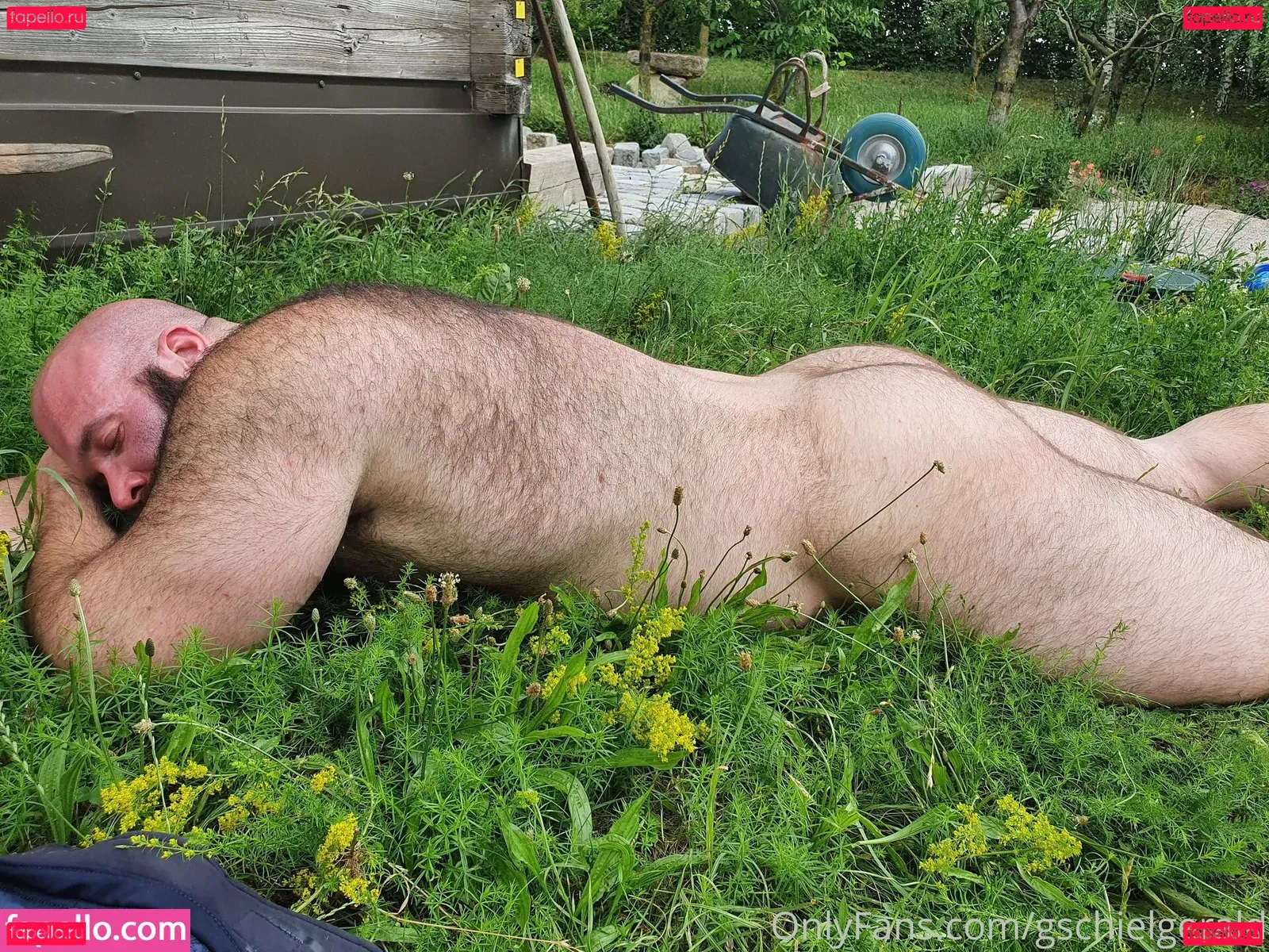 hairy_musclebear Onlyfans Photo Gallery 