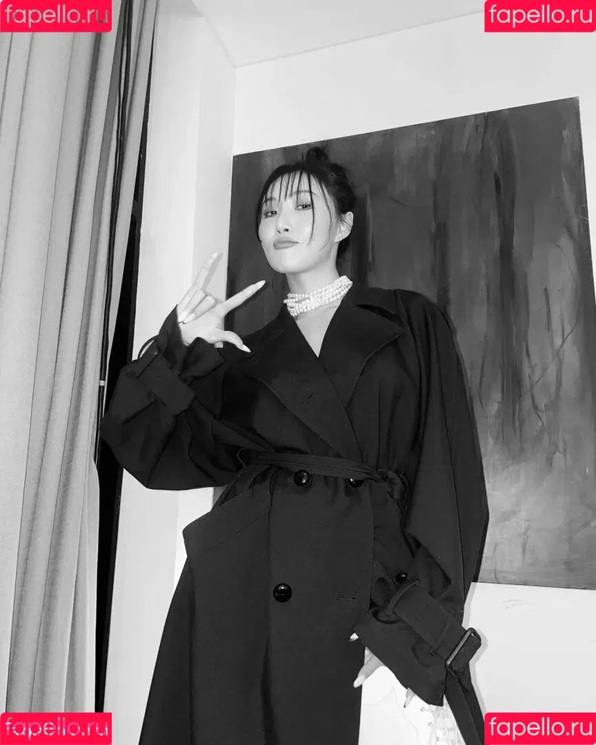 Hwasa Onlyfans Photo Gallery 