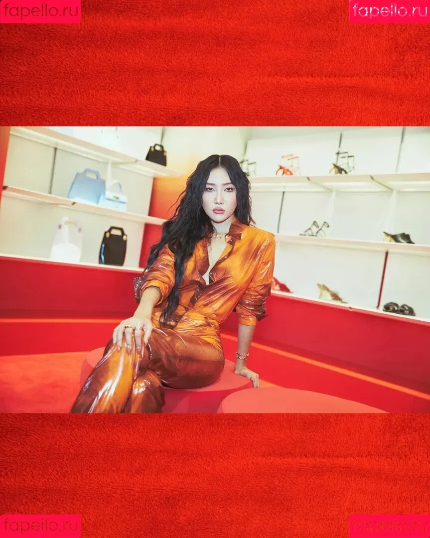 Hwasa Onlyfans Photo Gallery 