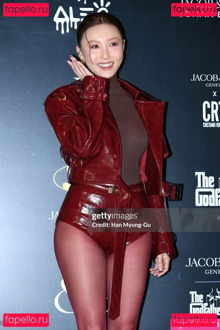 Hwasa Onlyfans Photo Gallery 