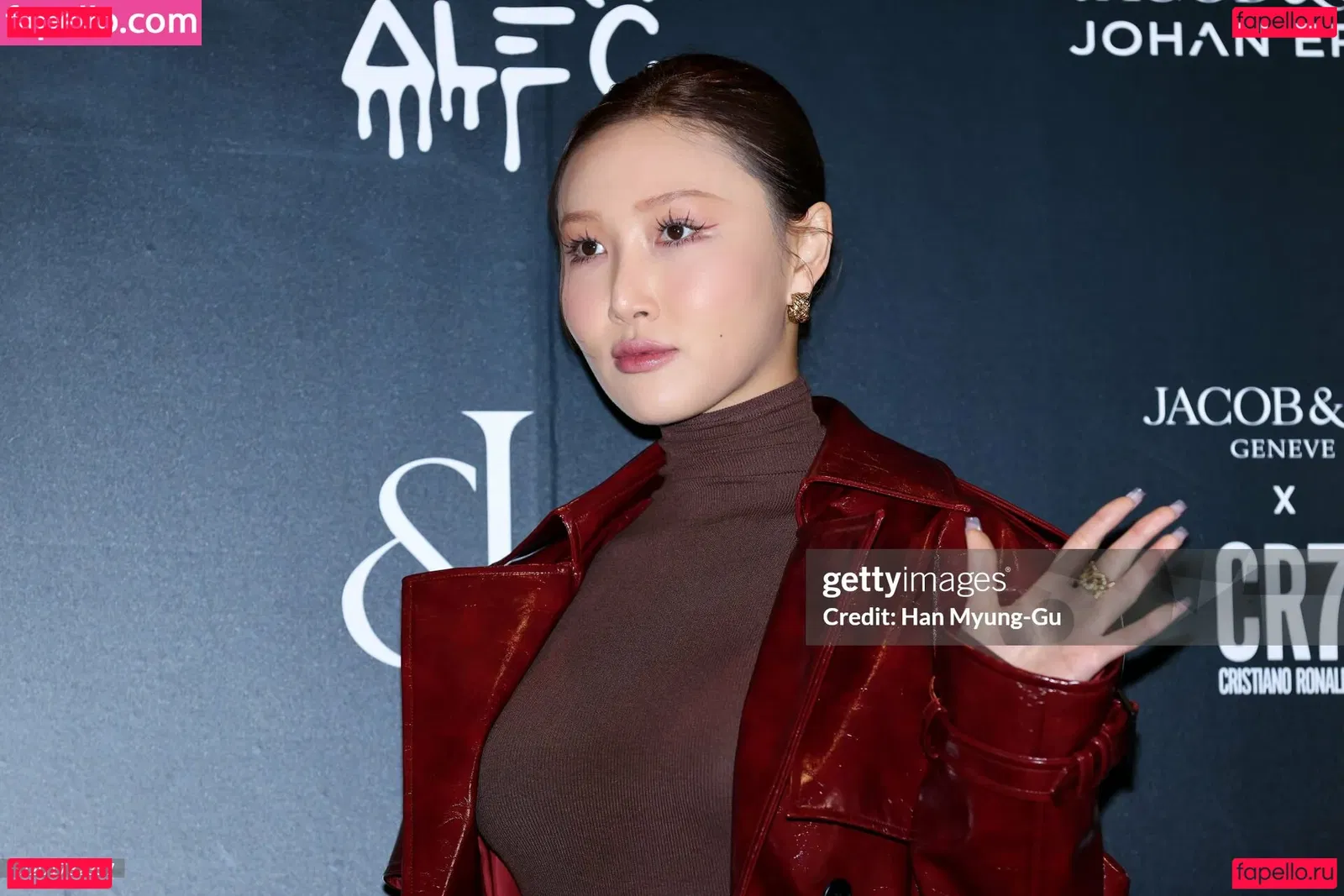 Hwasa Onlyfans Photo Gallery 