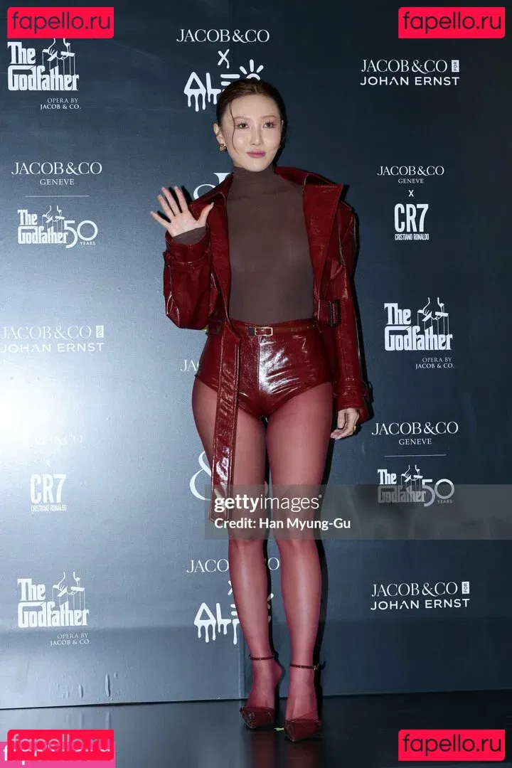 Hwasa Onlyfans Photo Gallery 