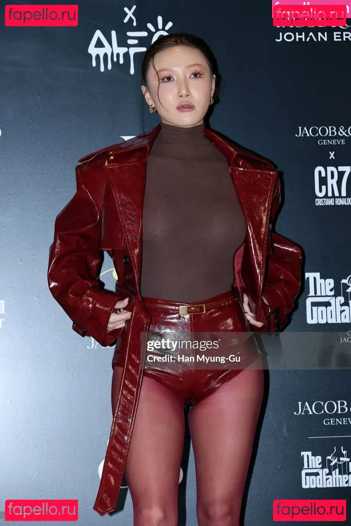 Hwasa Onlyfans Photo Gallery 