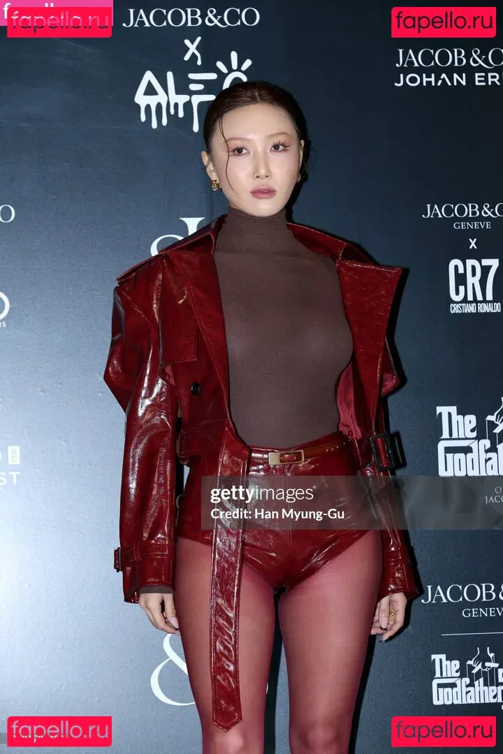 Hwasa Onlyfans Photo Gallery 