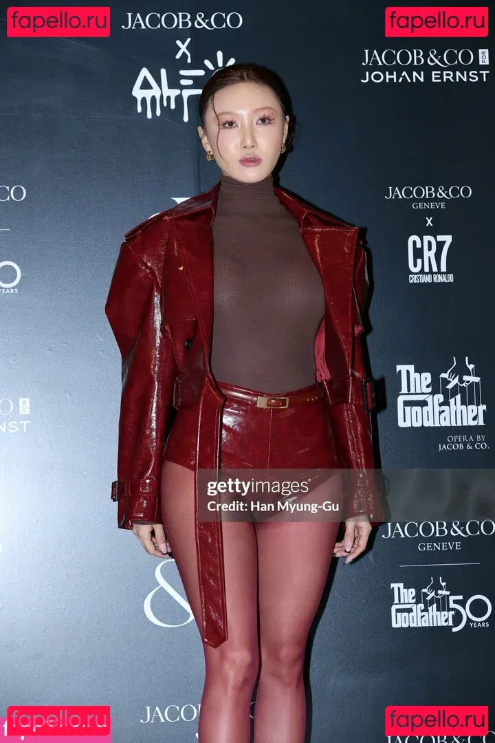 Hwasa Onlyfans Photo Gallery 