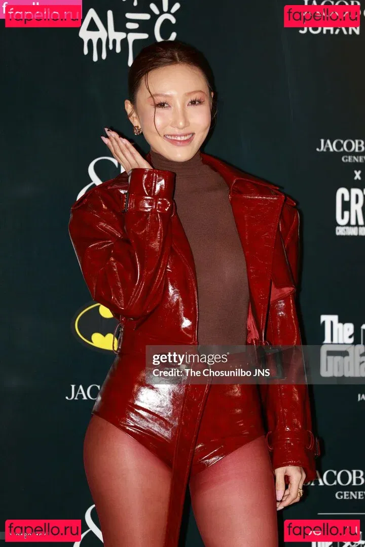 Hwasa Onlyfans Photo Gallery 