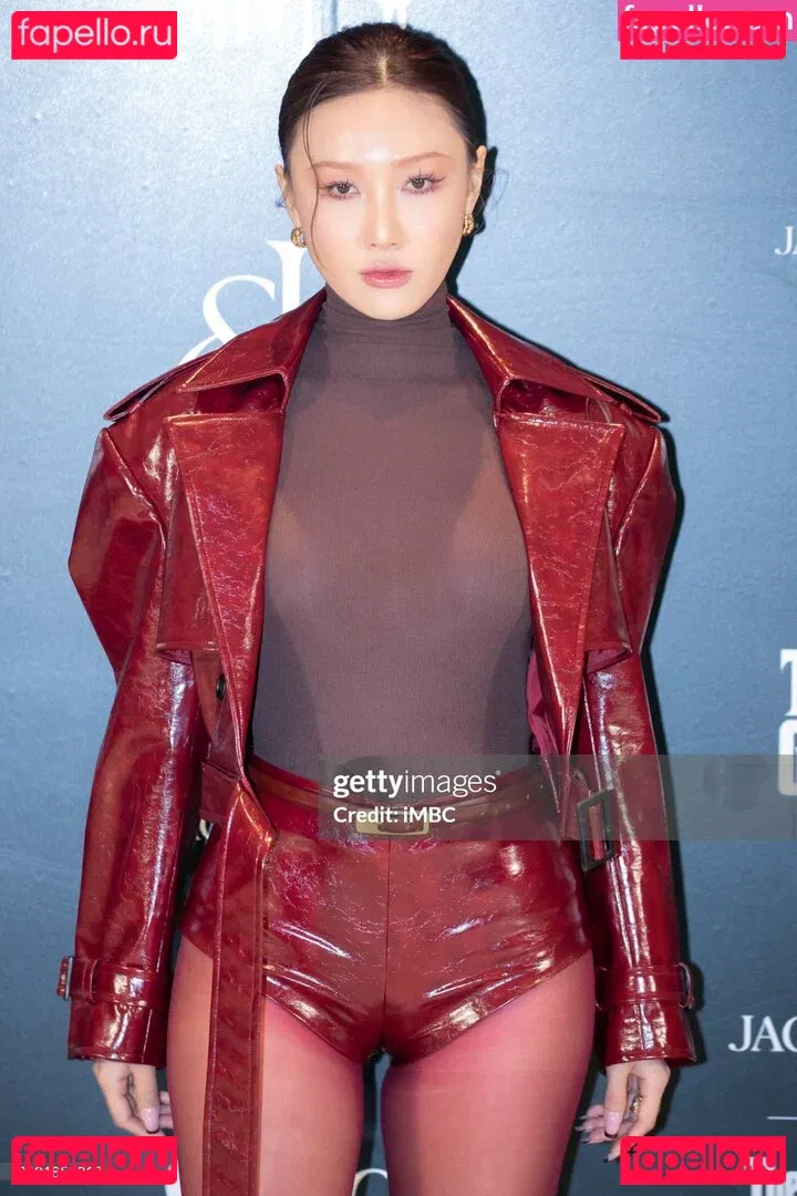 Hwasa Onlyfans Photo Gallery 