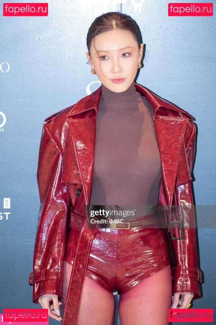 Hwasa Onlyfans Photo Gallery 