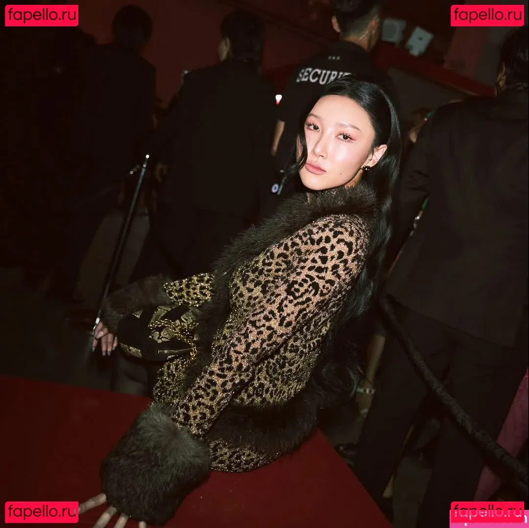 Hwasa Onlyfans Photo Gallery 