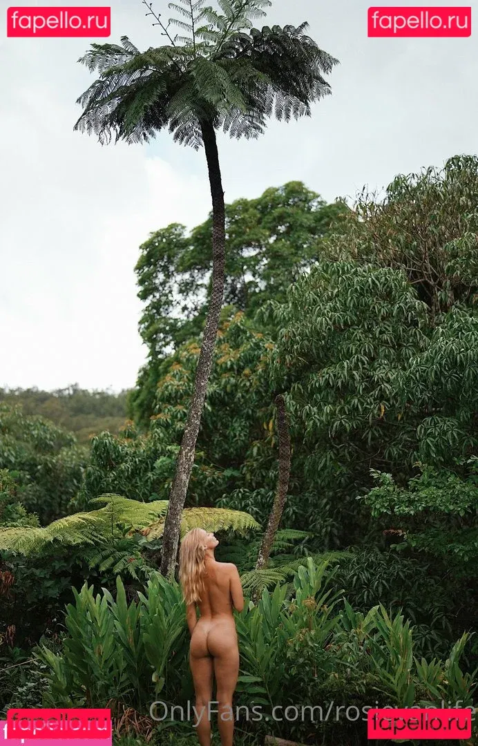 Rosievanlife Onlyfans Photo Gallery 