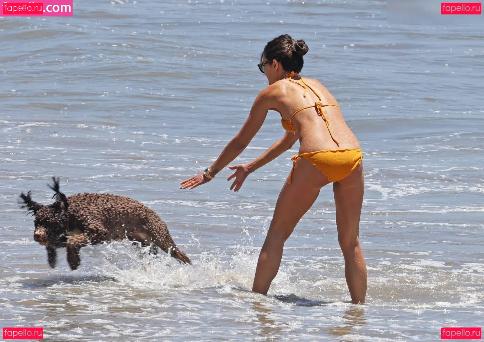 Jordana Brewster Onlyfans Photo Gallery 