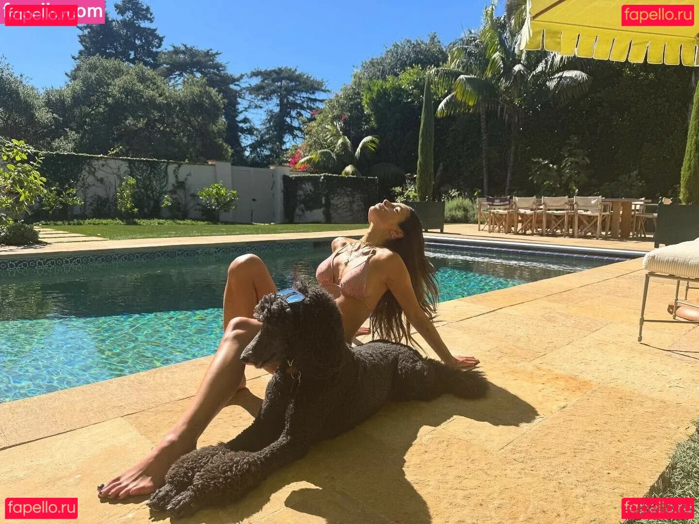 Jordana Brewster Onlyfans Photo Gallery 