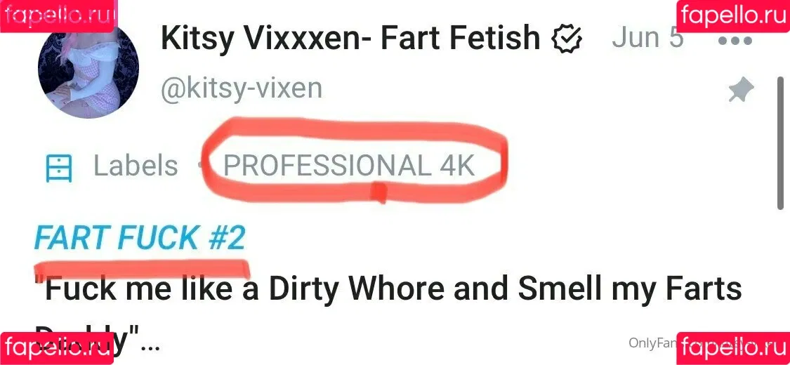 kitsy-vixen Onlyfans Photo Gallery 