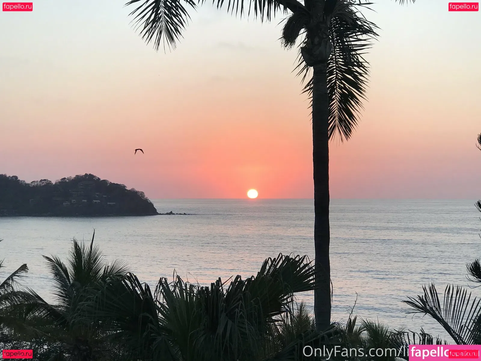 lizbecheeky Onlyfans Photo Gallery 