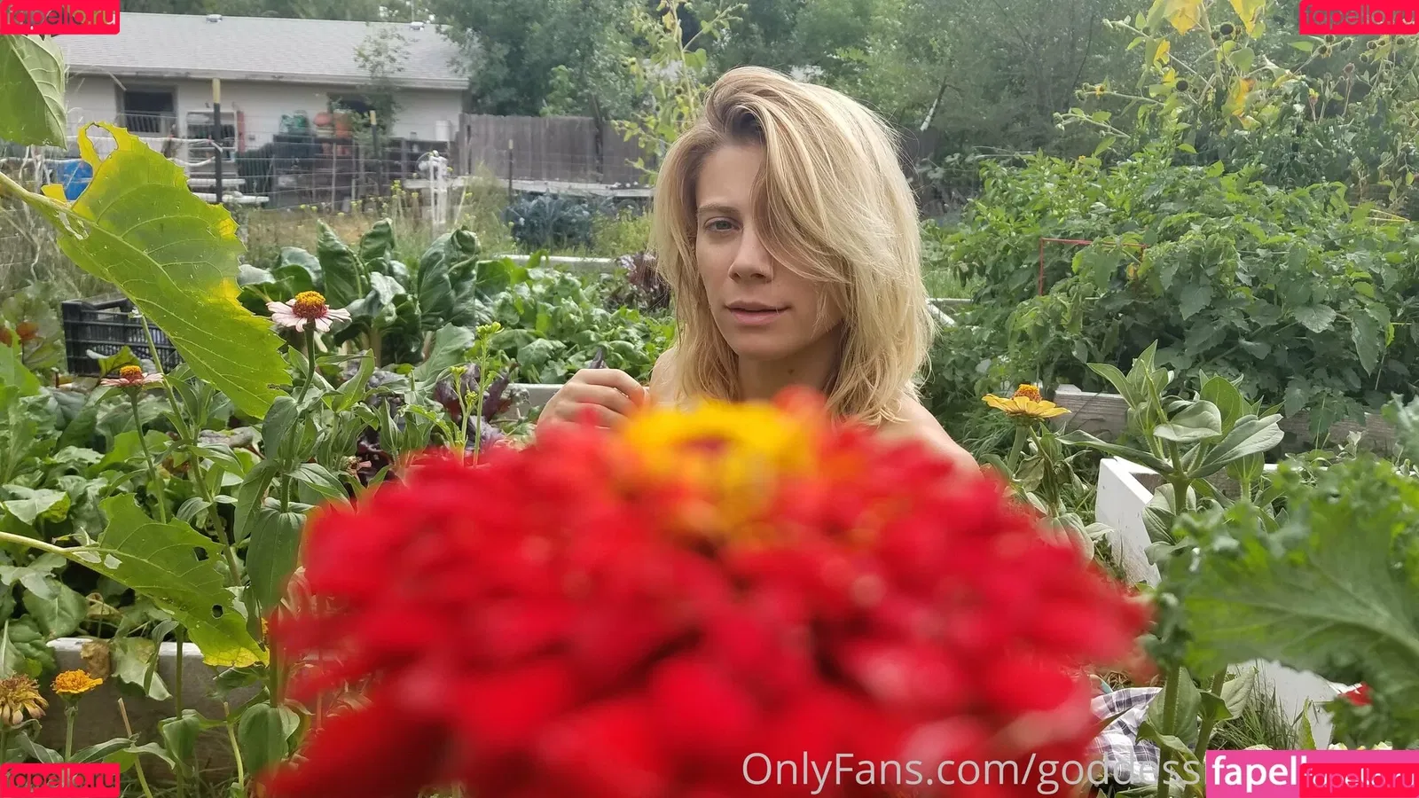 goddesslailadelight Onlyfans Photo Gallery 