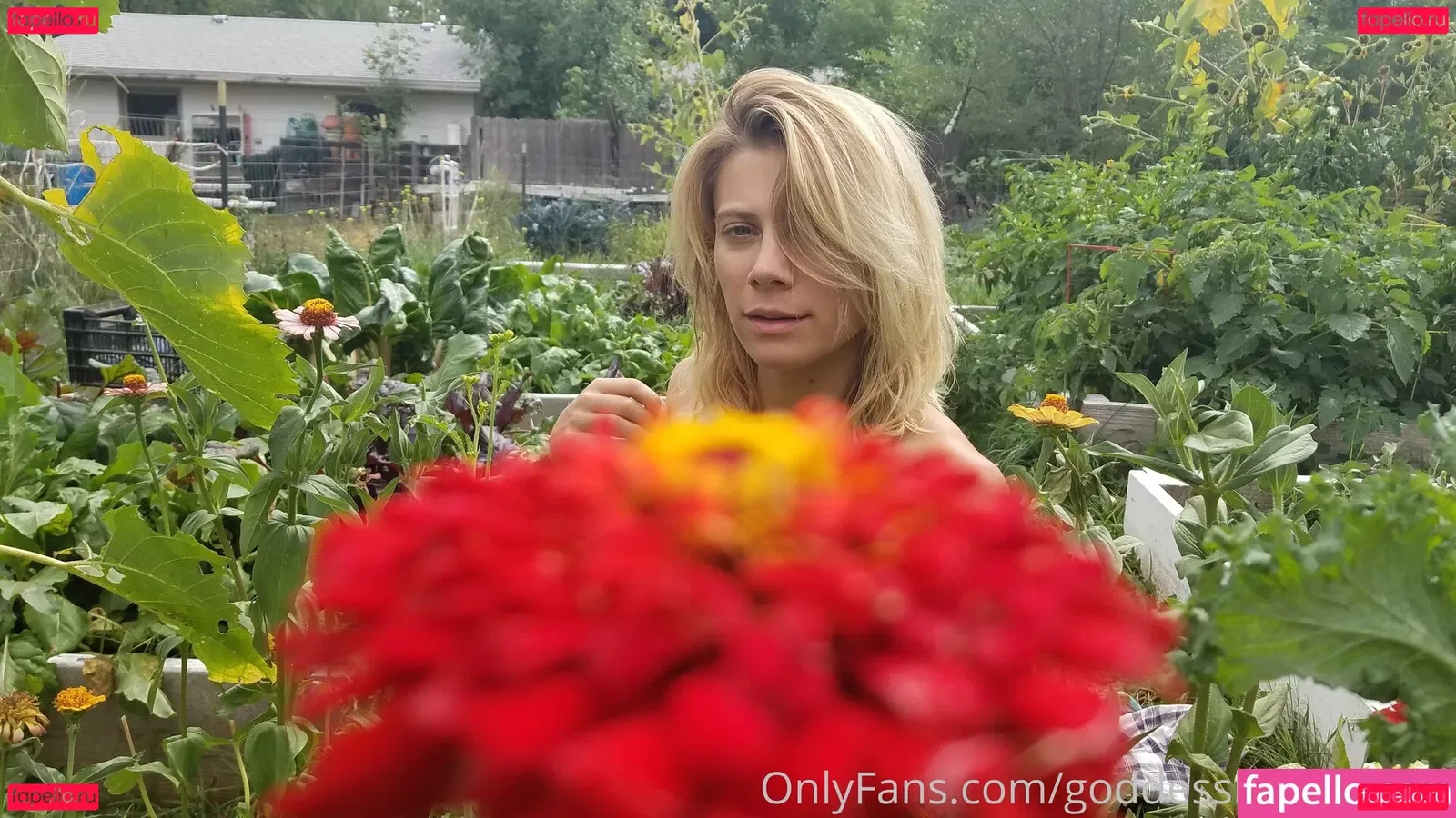 goddesslailadelight Onlyfans Photo Gallery 