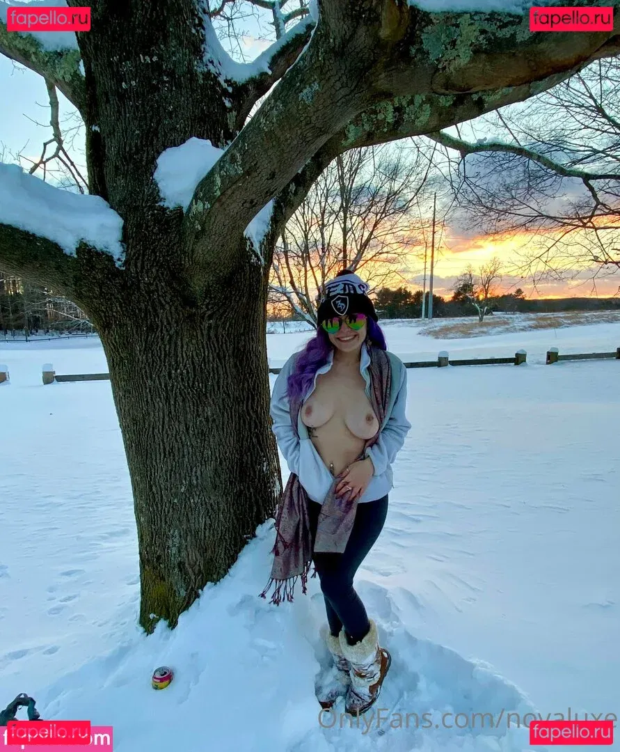 novaluxe Onlyfans Photo Gallery 