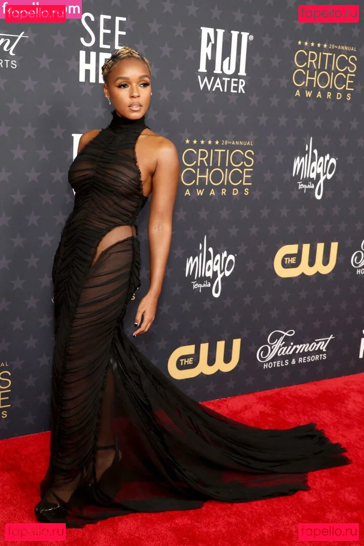 Janelle Monae Onlyfans Photo Gallery 