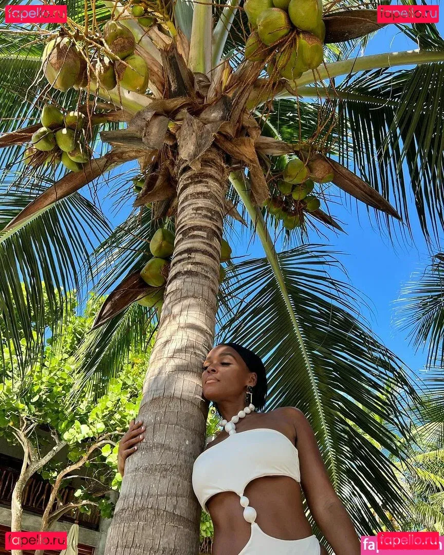Janelle Monae Onlyfans Photo Gallery 