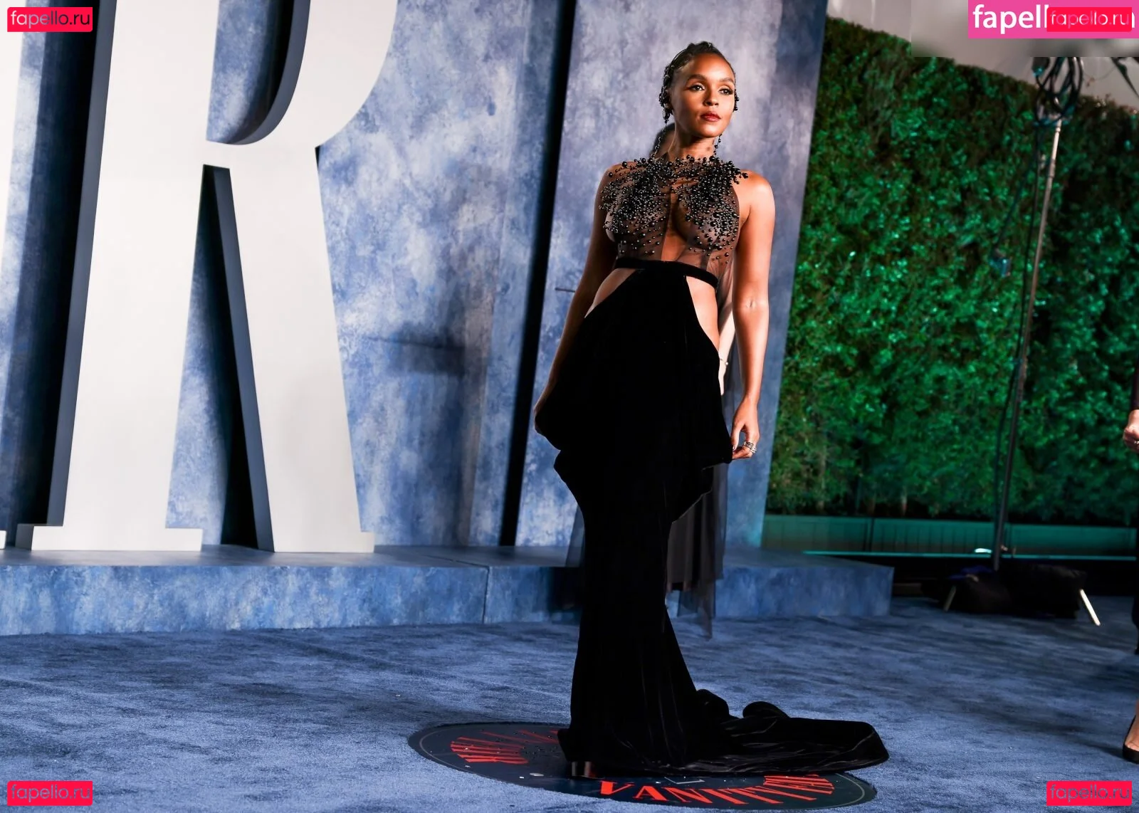 Janelle Monae Onlyfans Photo Gallery 