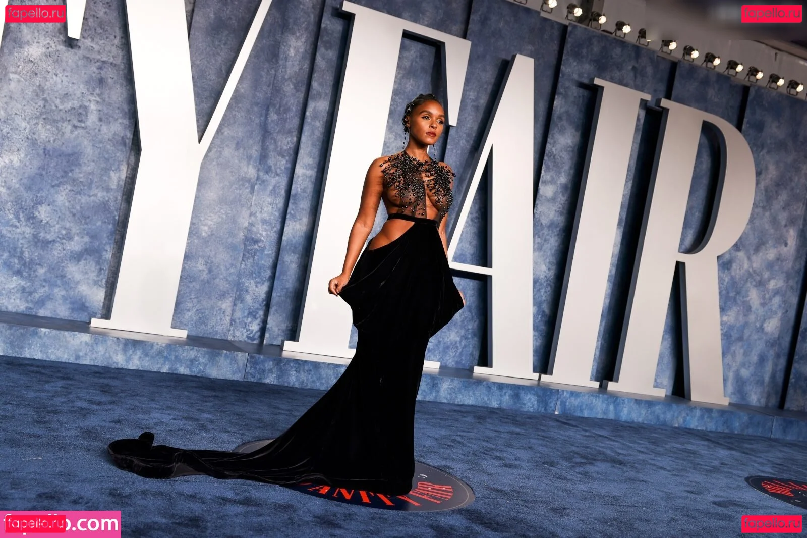 Janelle Monae Onlyfans Photo Gallery 