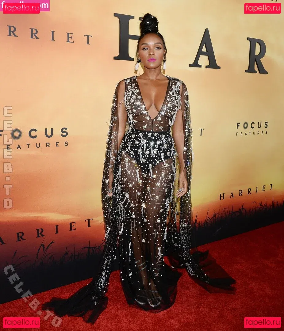 Janelle Monae Onlyfans Photo Gallery 