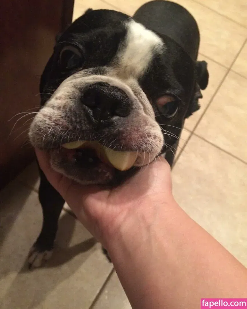 drearoseee Onlyfans Photo Gallery 