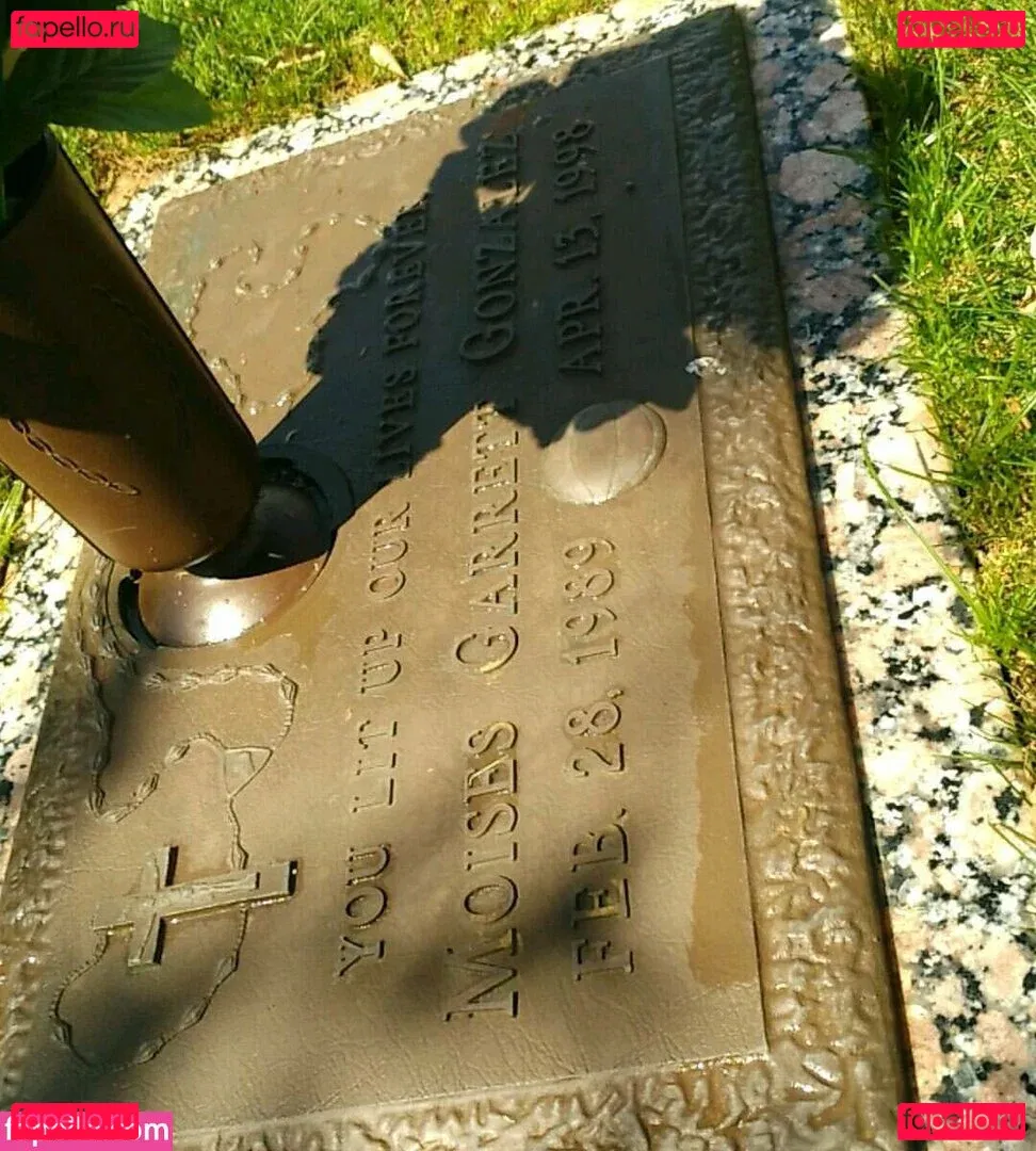 drearoseee Onlyfans Photo Gallery 