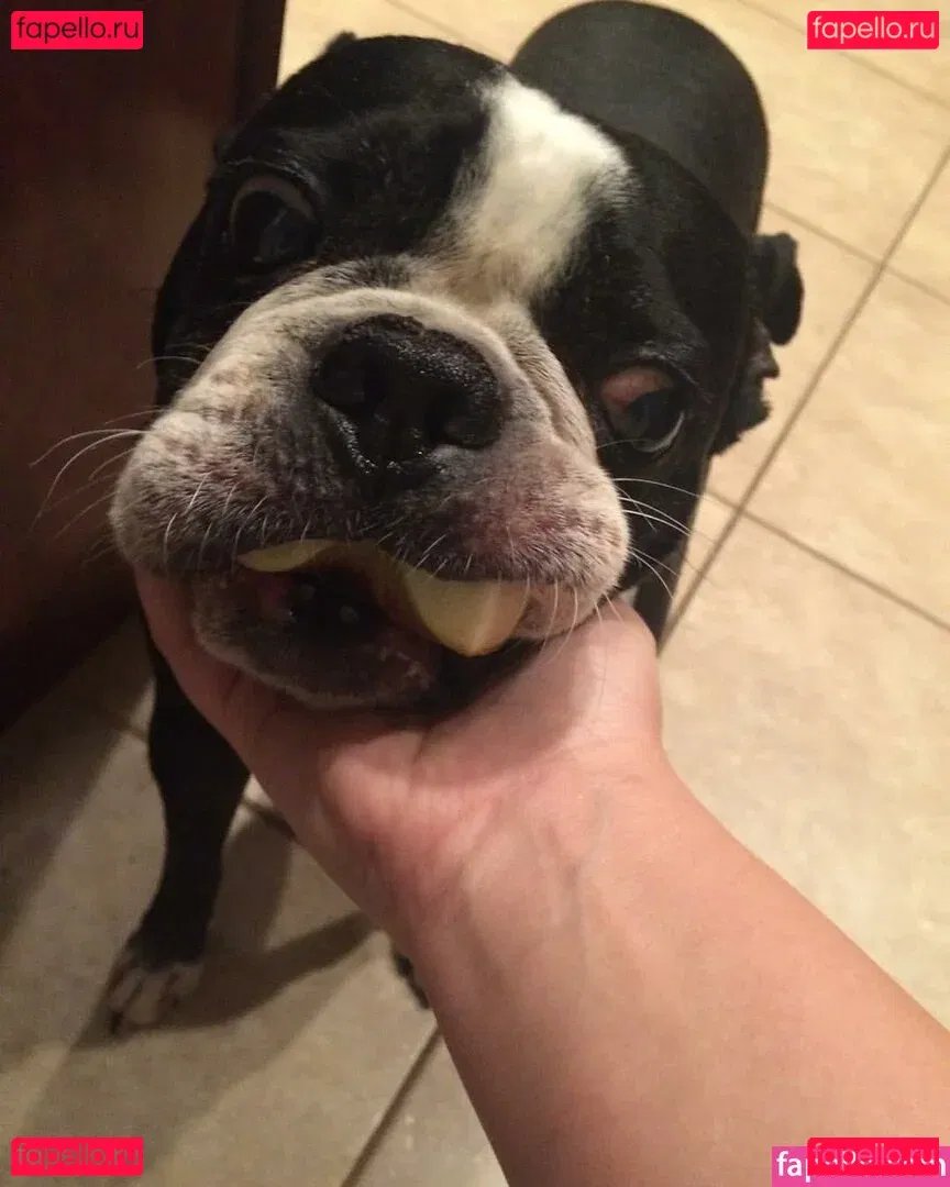 drearoseee Onlyfans Photo Gallery 