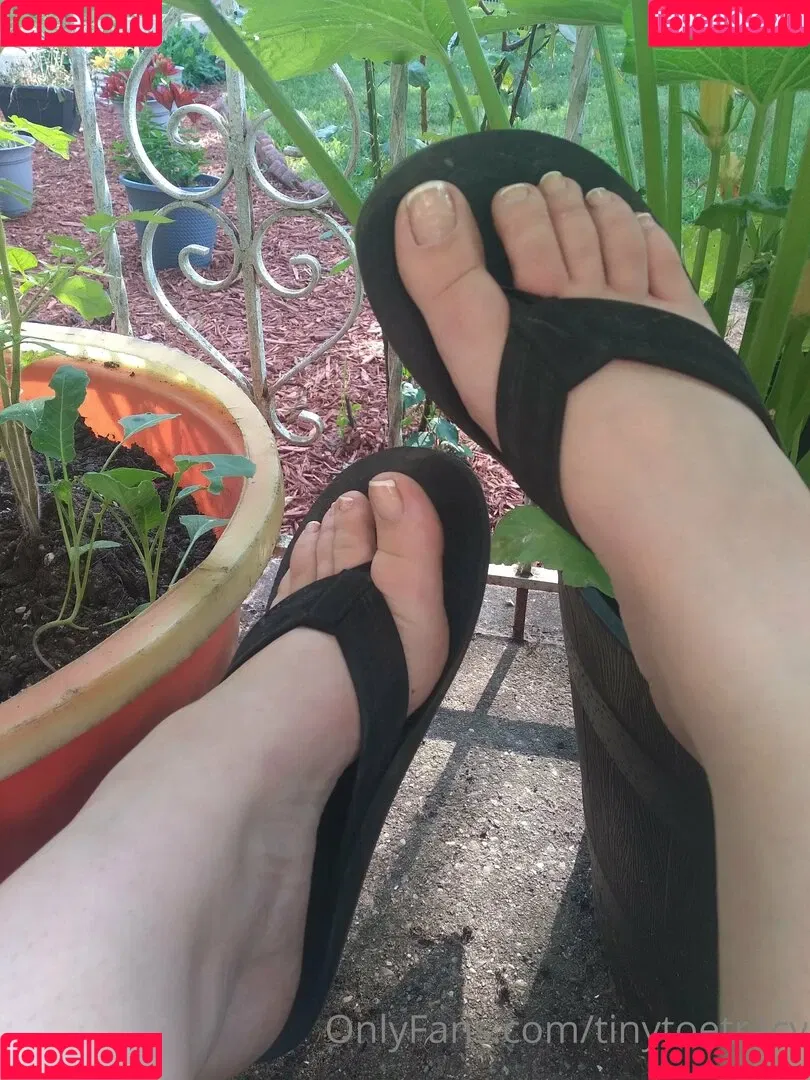 tinytoetracy Onlyfans Photo Gallery 
