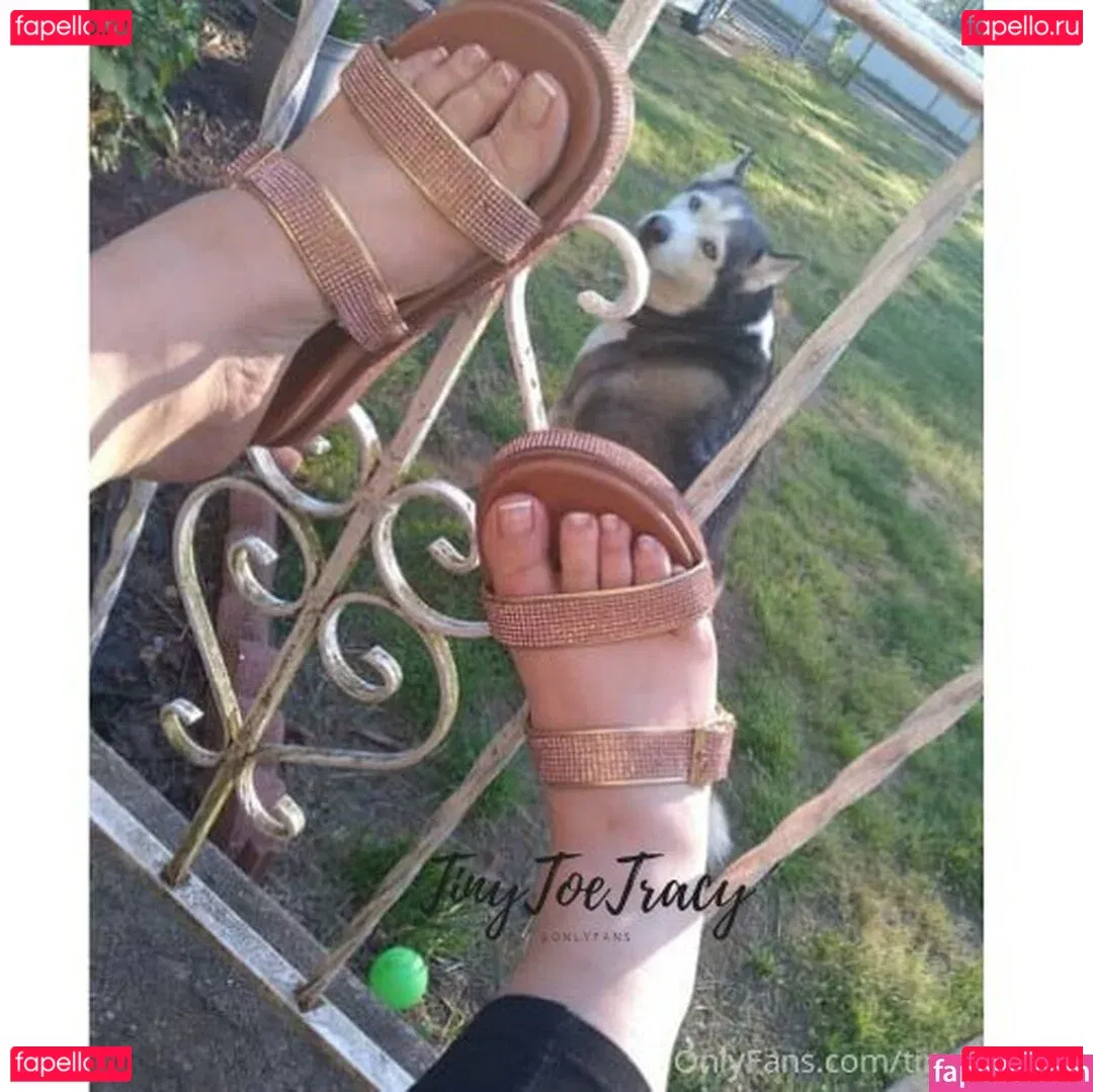 tinytoetracy Onlyfans Photo Gallery 